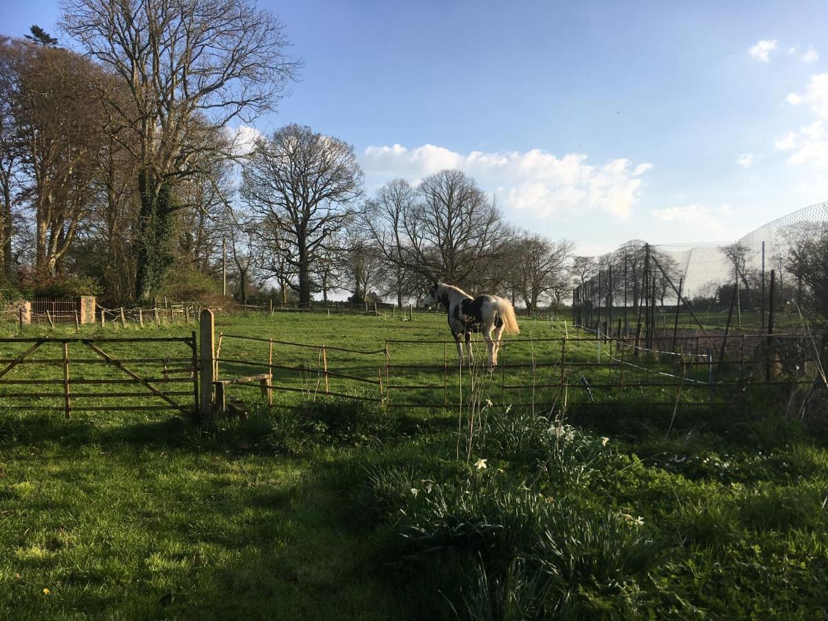 O'Harabrook Country House Ballymoney Buitenkant foto