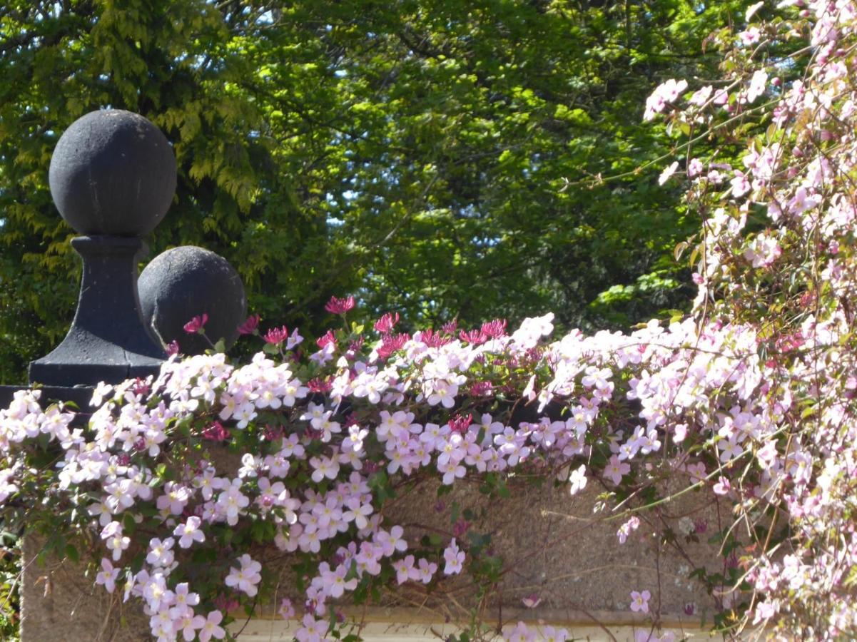 O'Harabrook Country House Ballymoney Buitenkant foto