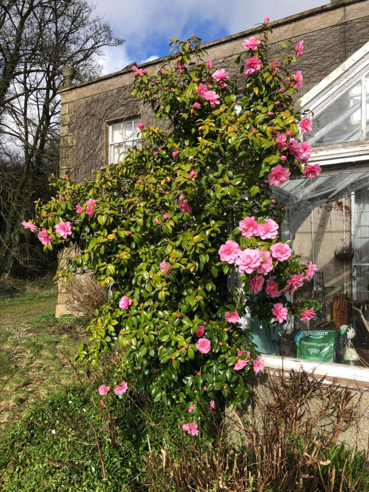 O'Harabrook Country House Ballymoney Buitenkant foto