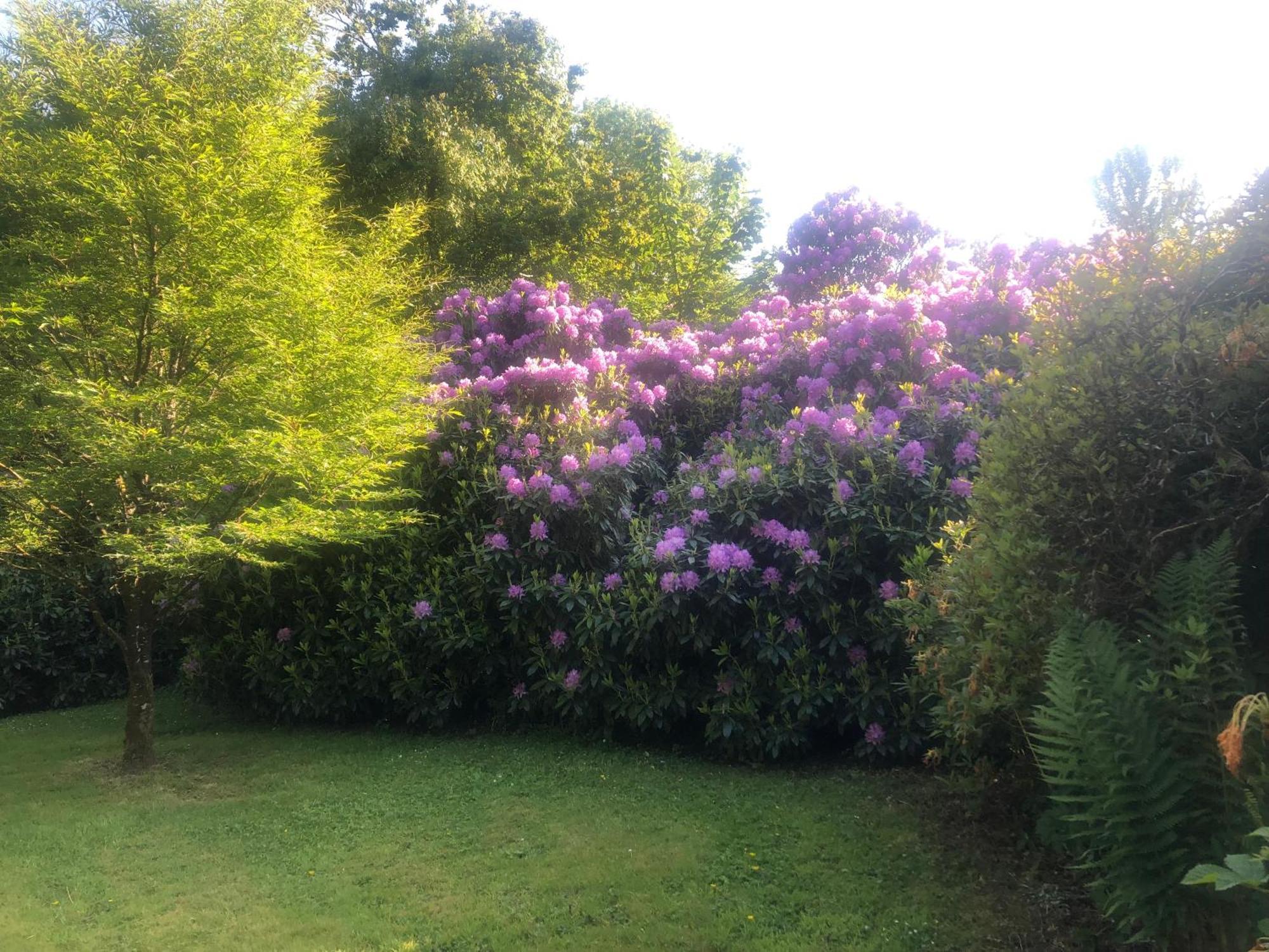O'Harabrook Country House Ballymoney Buitenkant foto